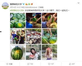 今日吃瓜最新信息大学,揭秘今日吃瓜热点背后的校园故事